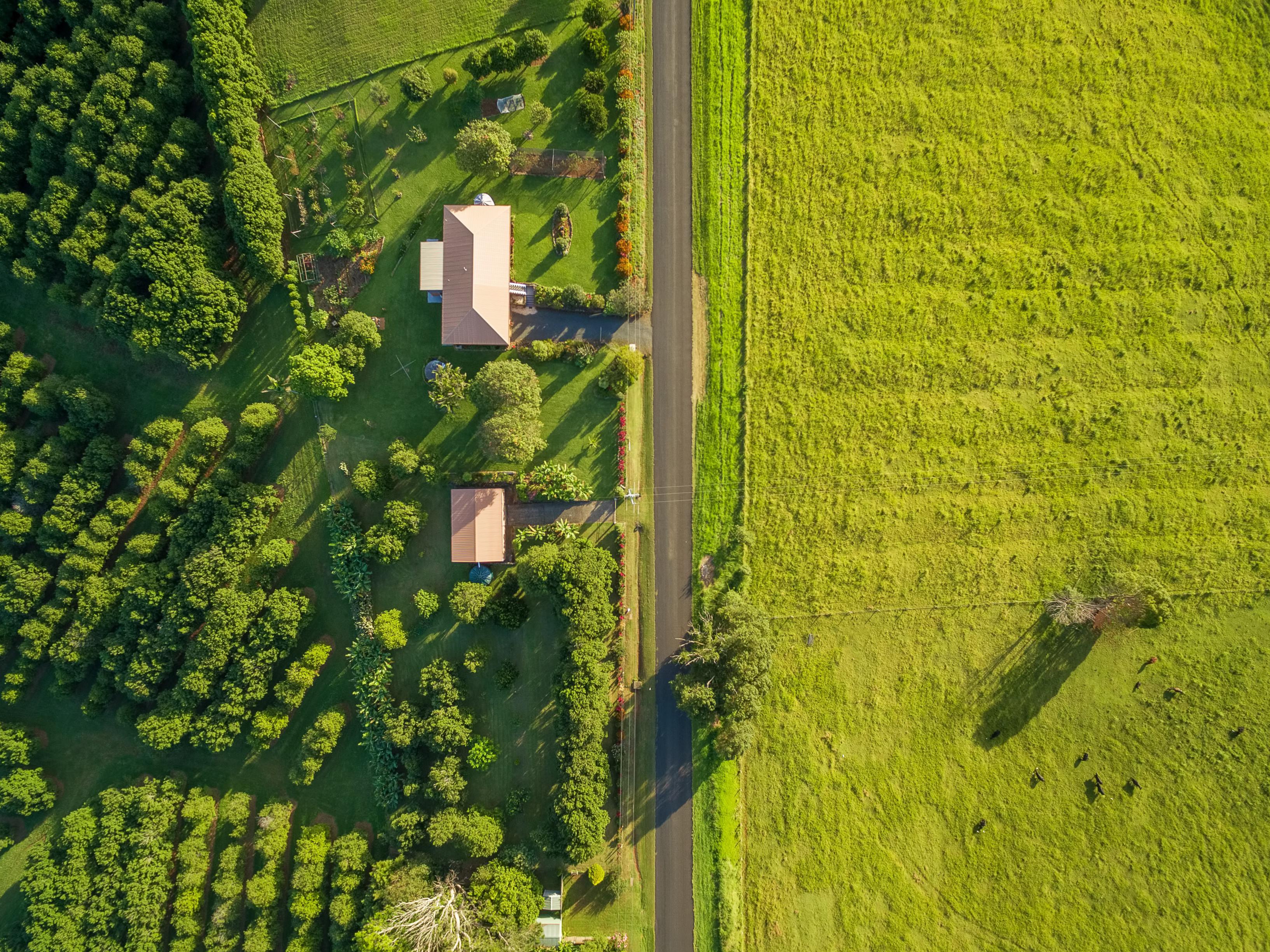 Department of Primary Industry - Farming Pre-assessment Tool