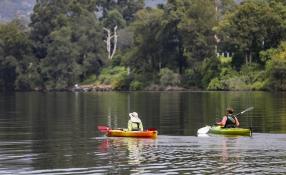 This is an image of two people canoeing on the Nepean River