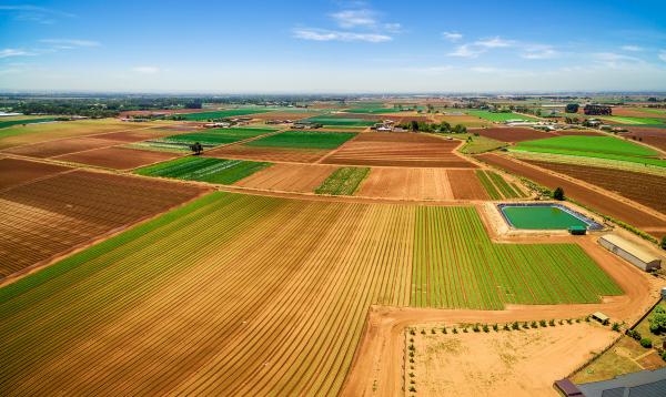 image of field in regional NSW 