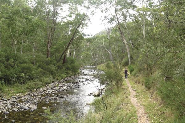 Thiis is an image of a stream