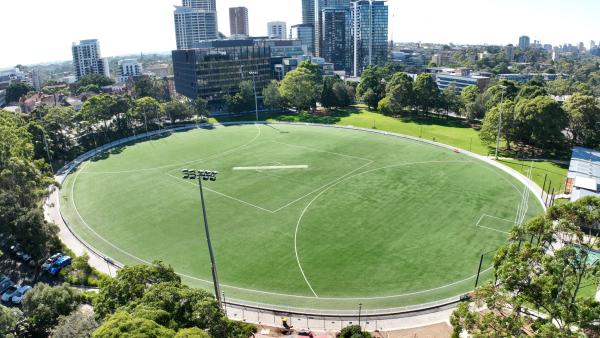 synthetic turf 