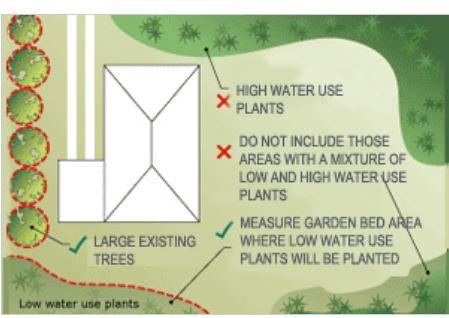 This is an image of trees for BASIX landscaping