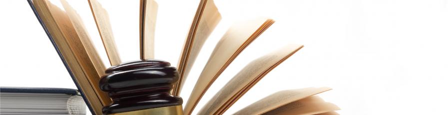Image of a book with open pages and a gavel