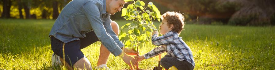 image of man and boy planting a tree