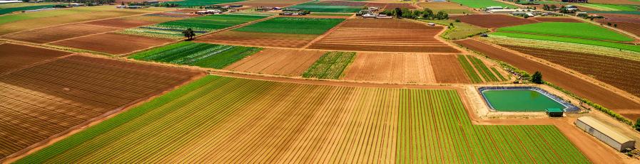 image of field in regional NSW 