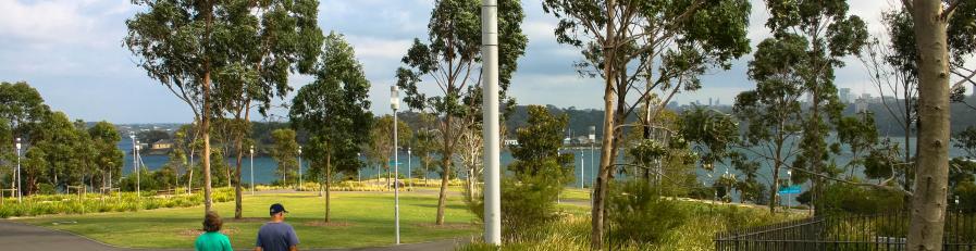 Image of people walking in a native park area with trees