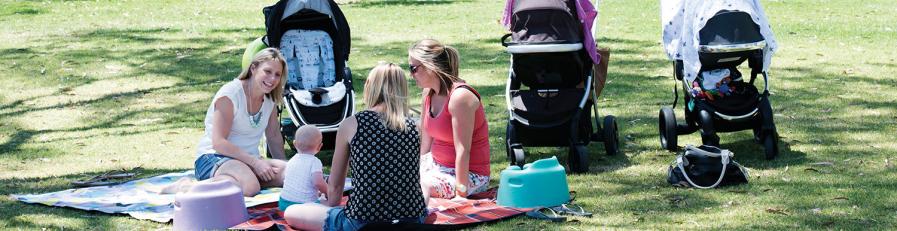 A family with children having a picnic