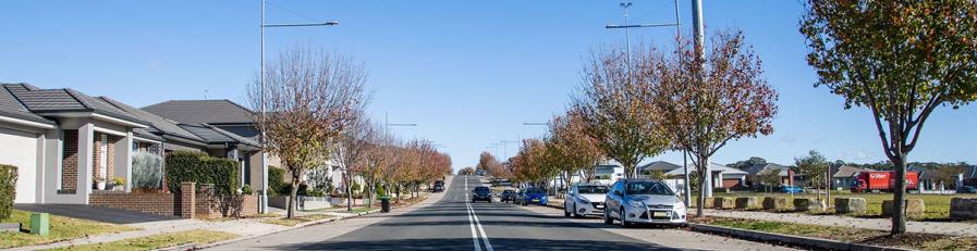 A neighbourhood street with blue sky