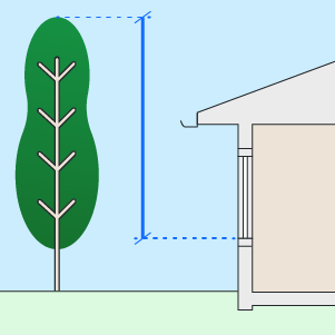 This is an image of a tree overshadowing a house