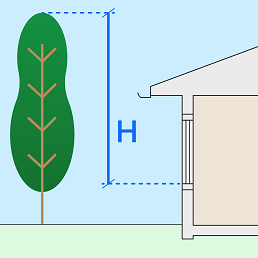 This is an image of a tree overshadowing a house